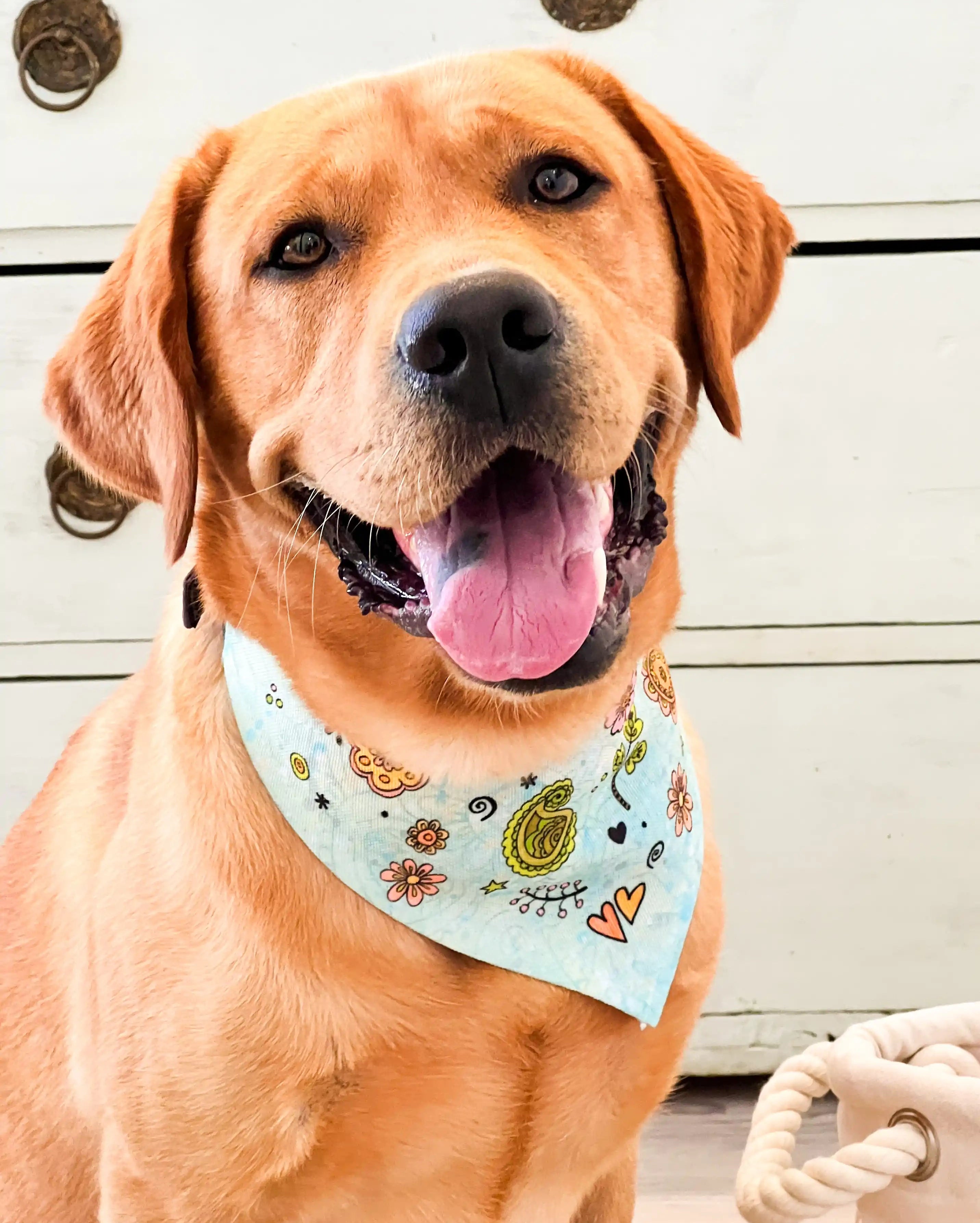 Hundehalstuch "Biene"-RollinArt