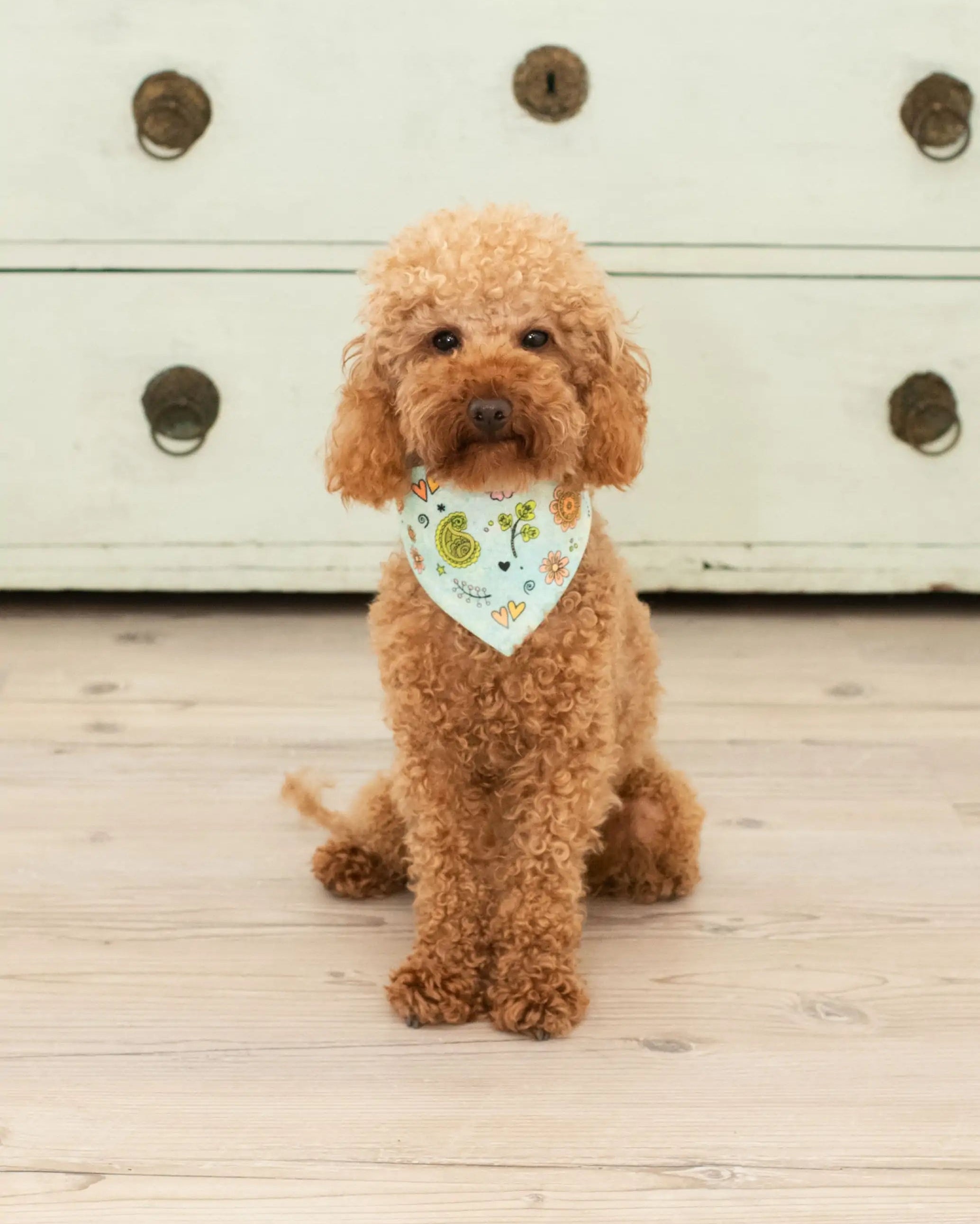 Hundehalstuch "Biene"-RollinArt