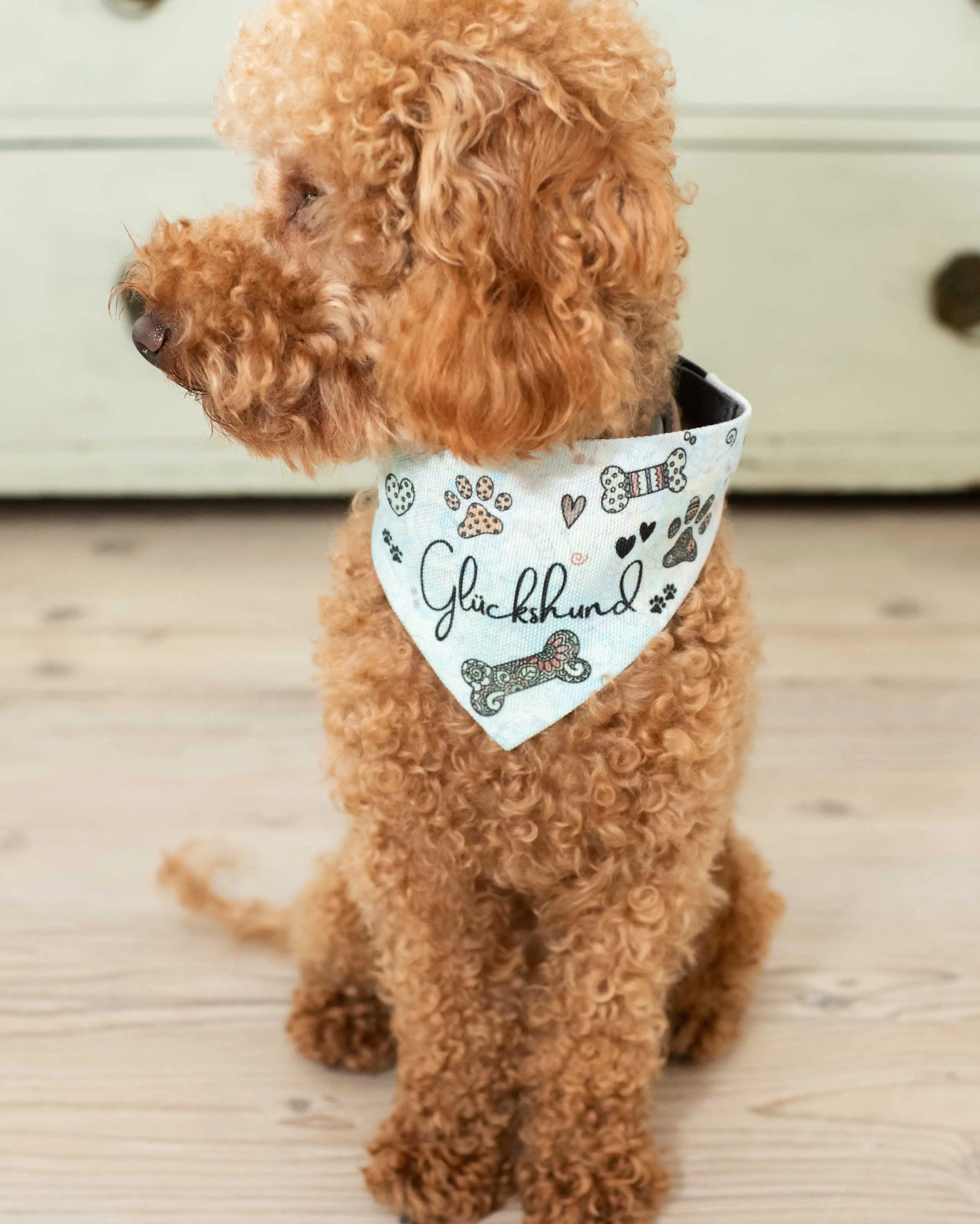 Hundehalstuch "Glückshund"-RollinArt