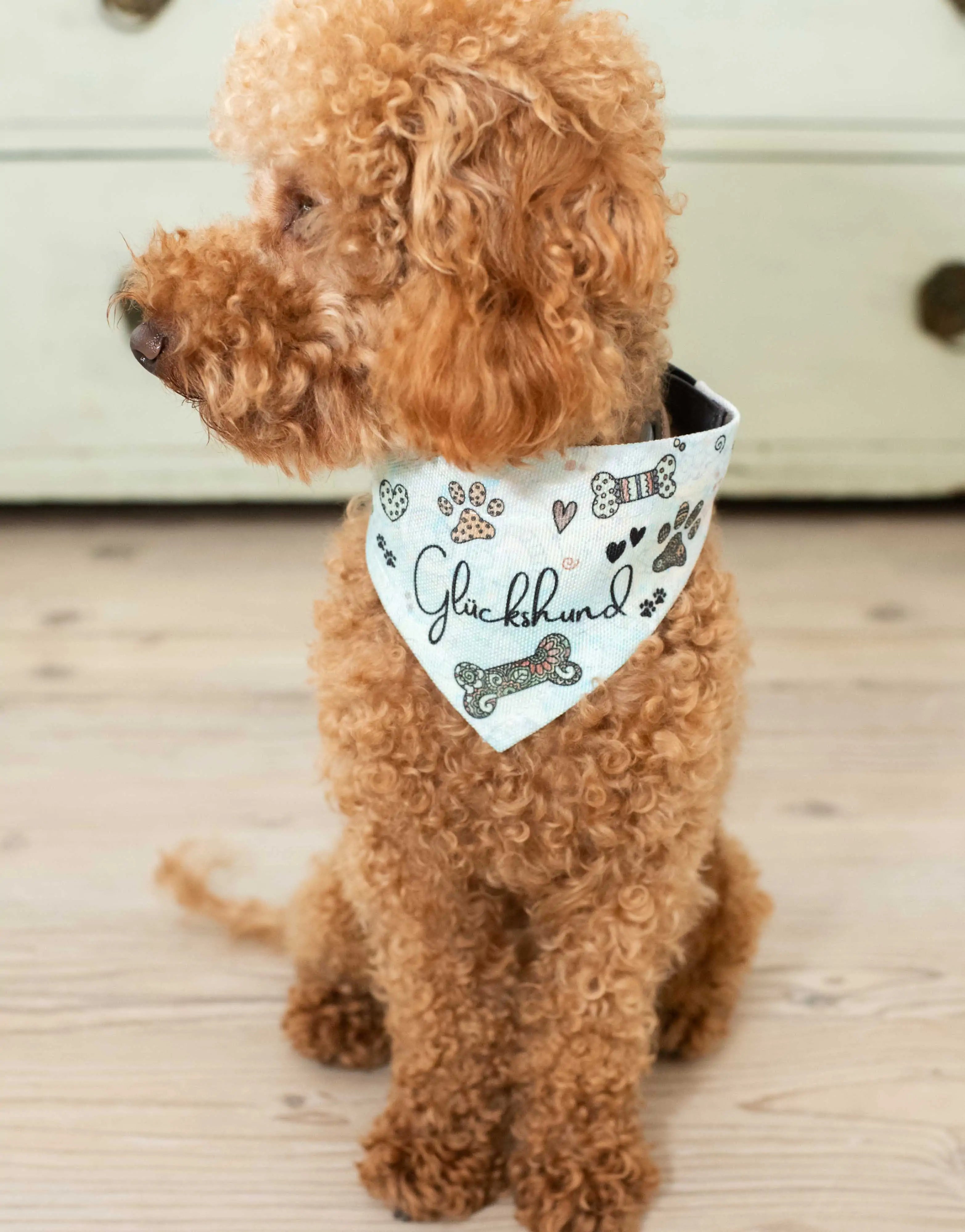 Hundehalstuch "Glückshund"-RollinArt