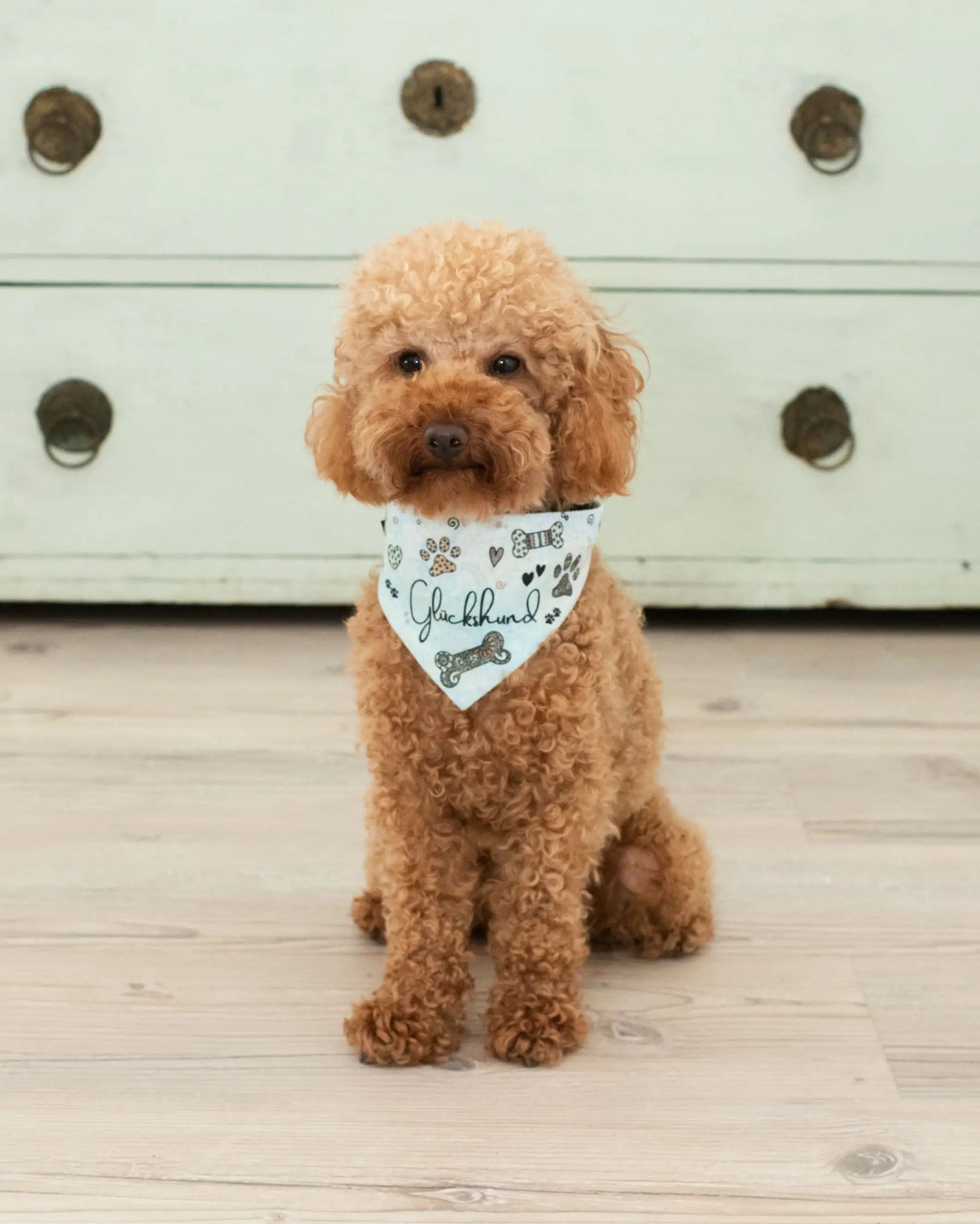 Hundehalstuch "Glückshund"-RollinArt