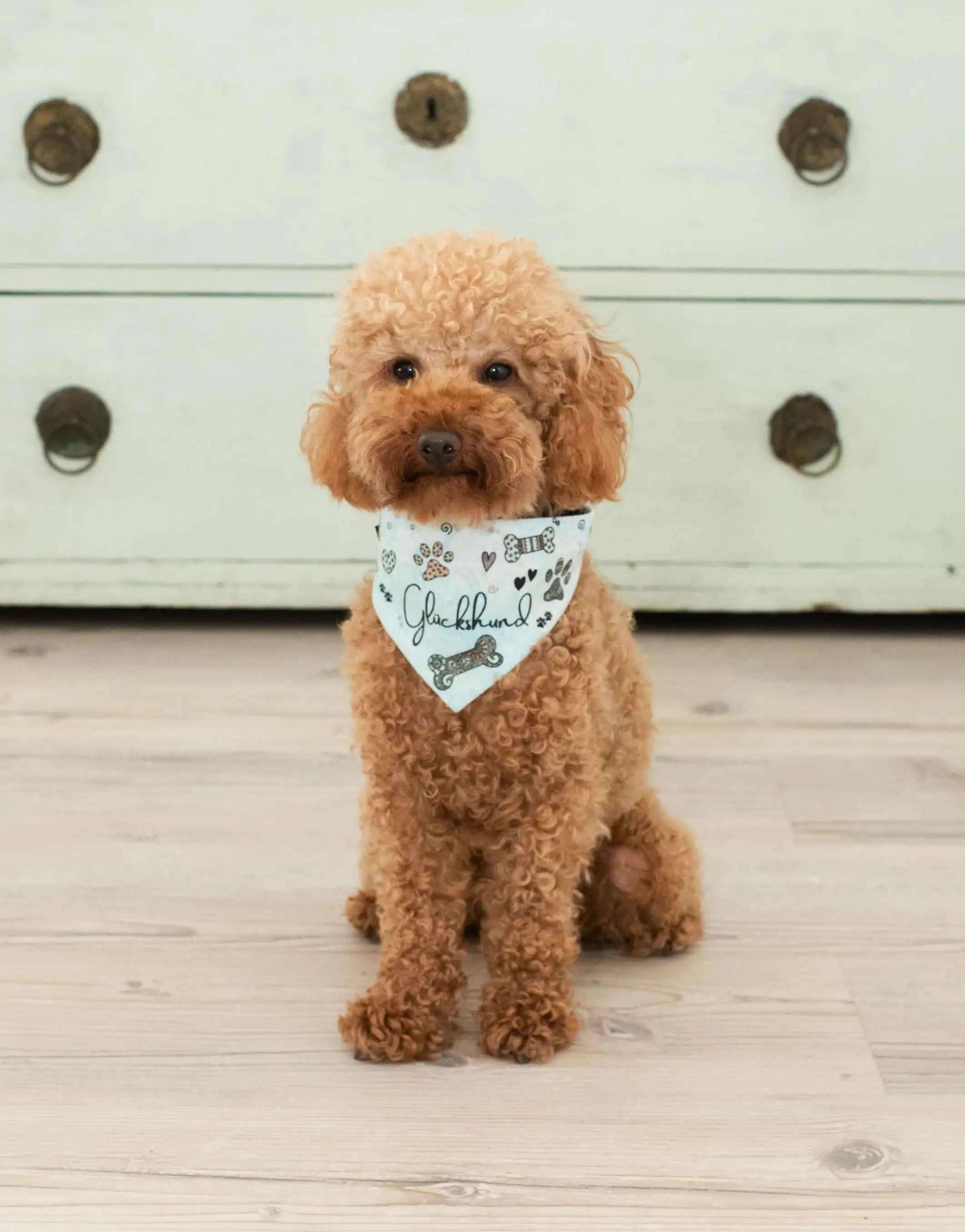 Hundehalstuch "Glückshund"-RollinArt