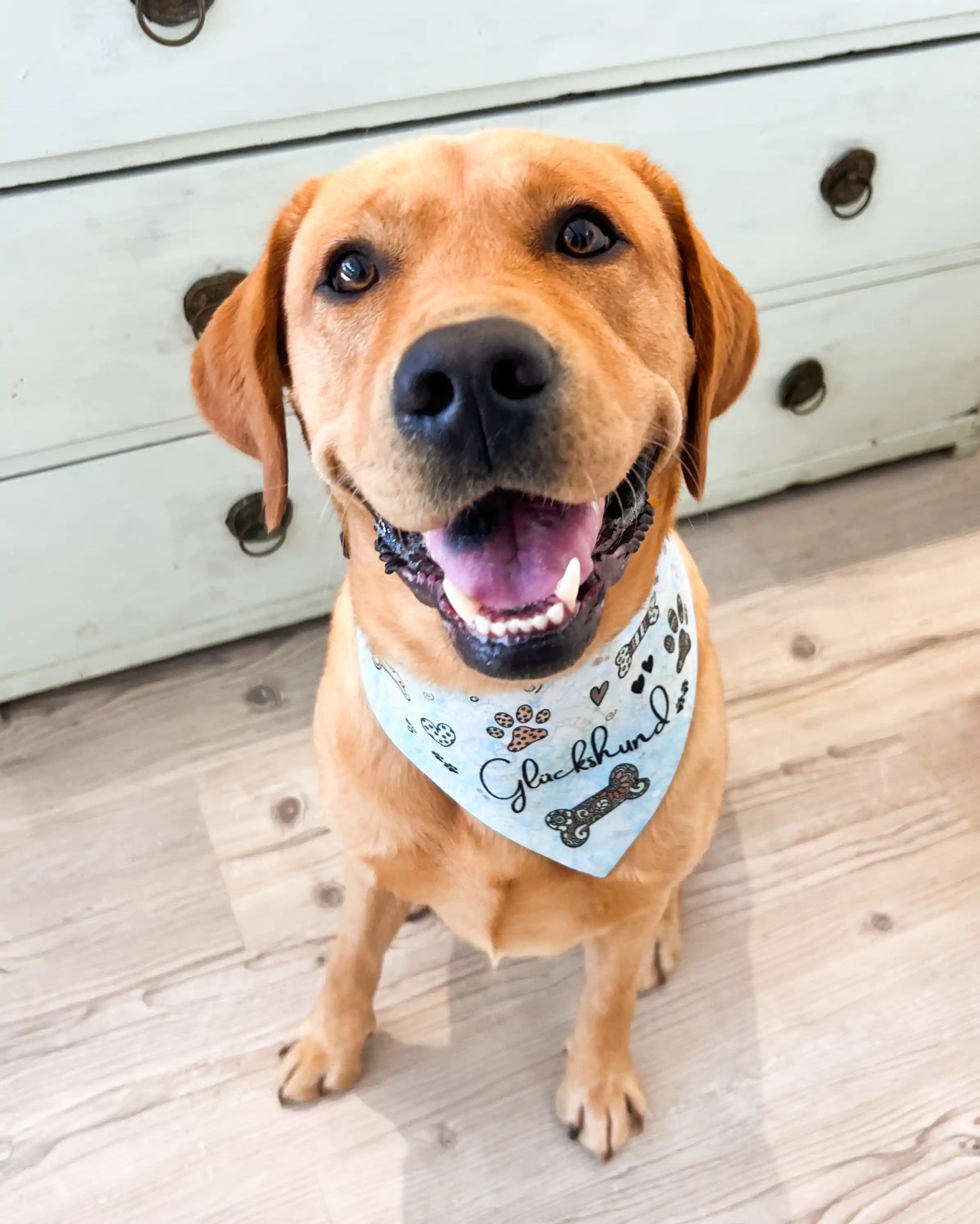 Hundehalstuch "Glückshund"-RollinArt