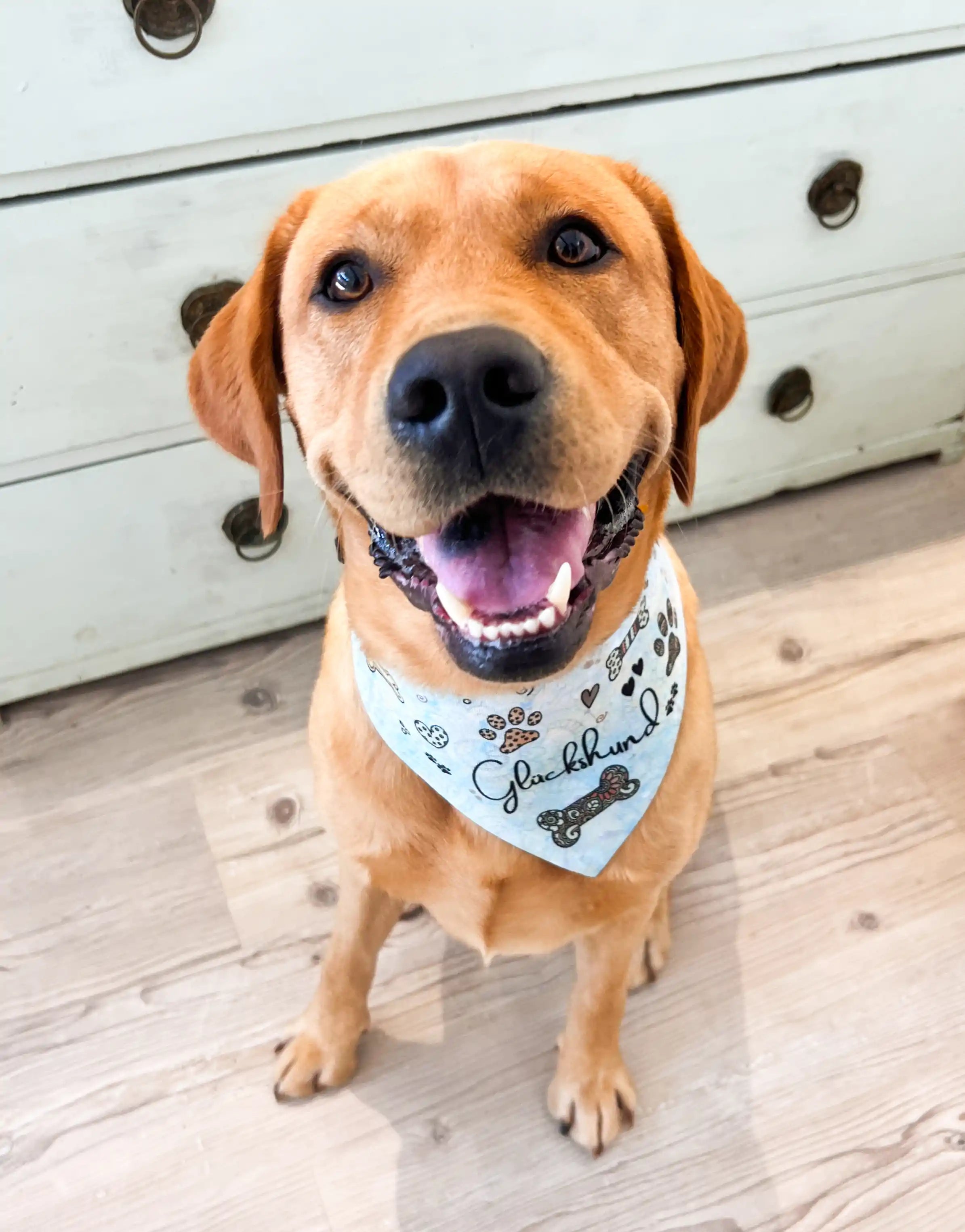 Hundehalstuch "Glückshund"-RollinArt