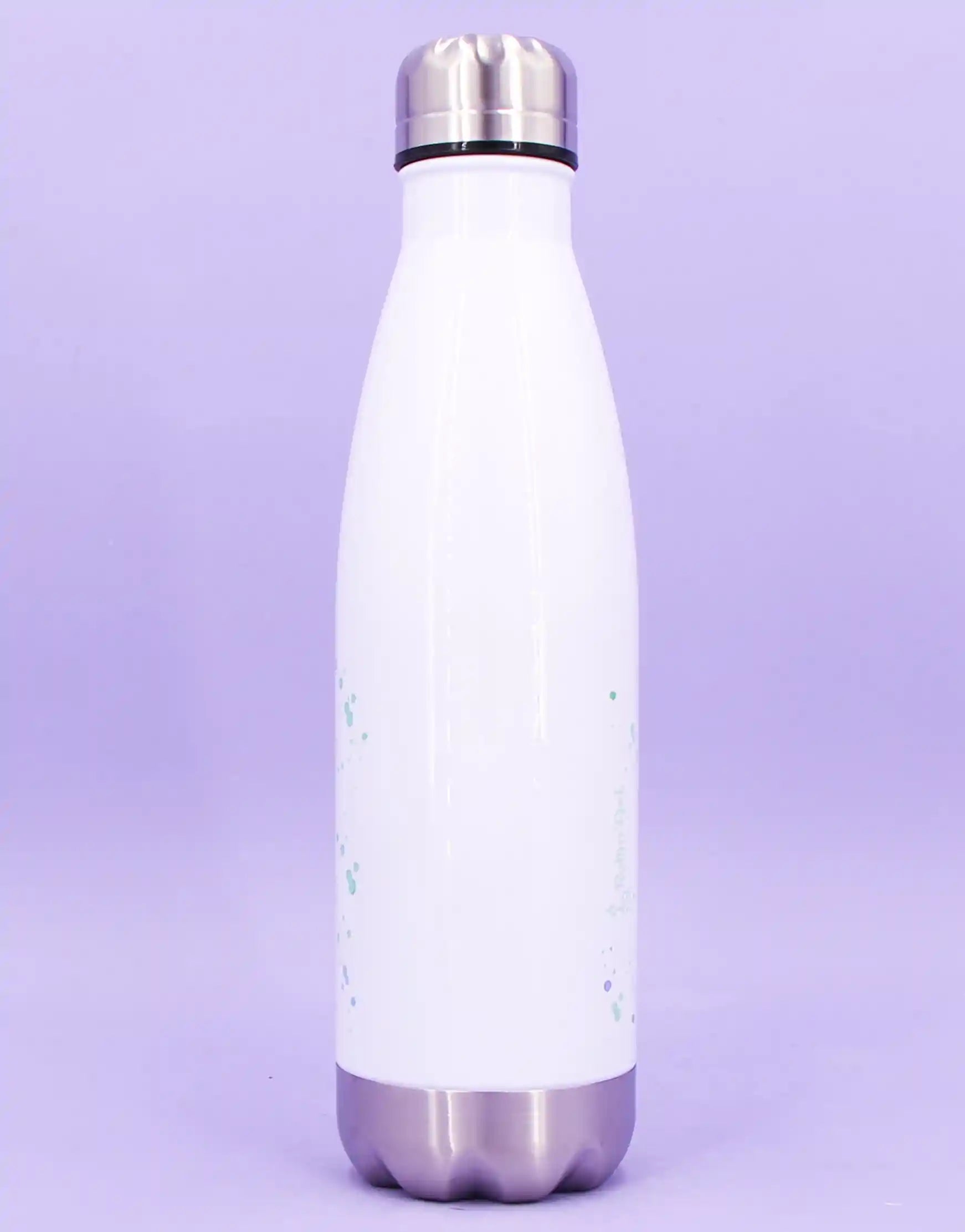 Trinkflasche "Chillkröte"-RollinArt