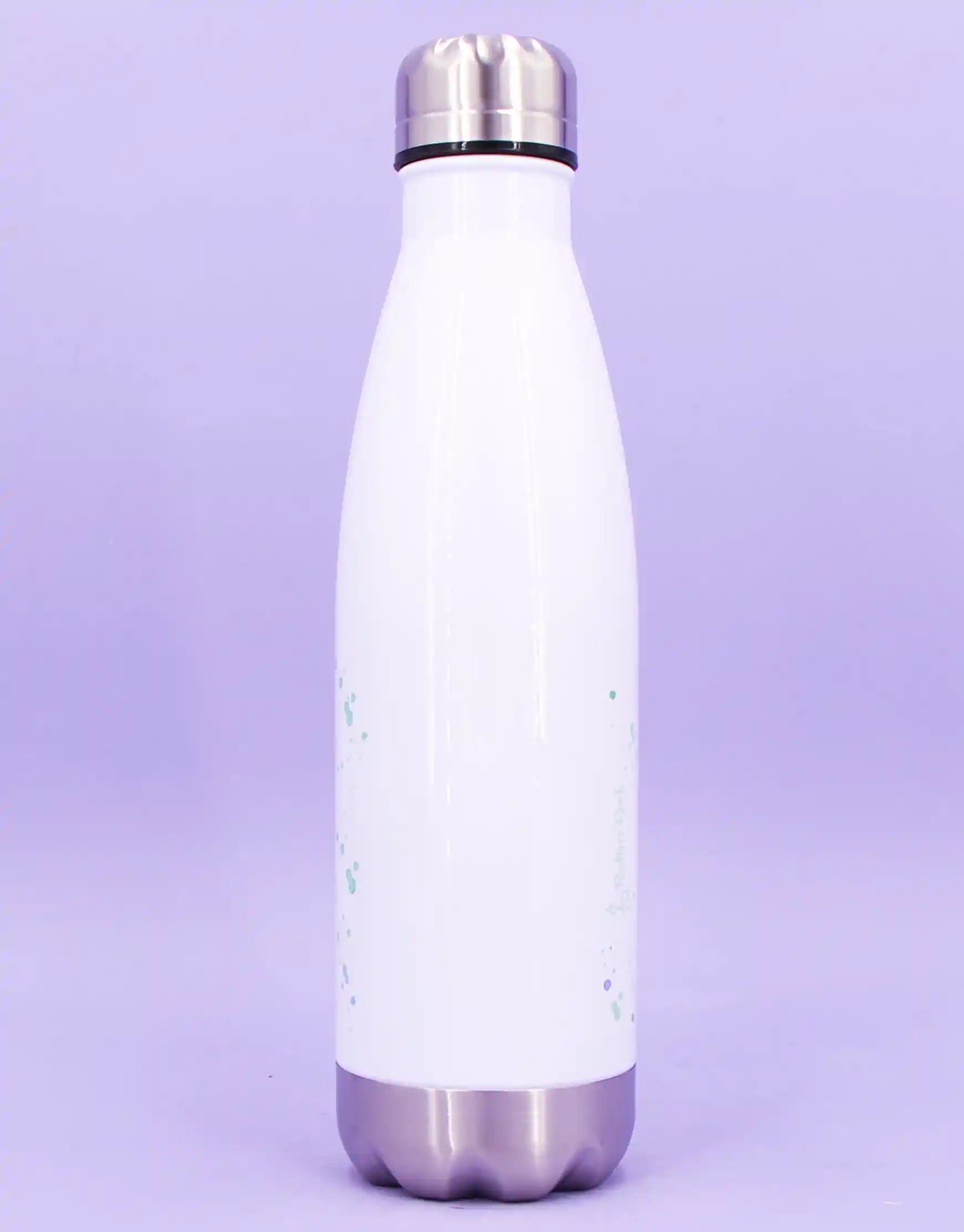 Trinkflasche "Chillkröte"-RollinArt