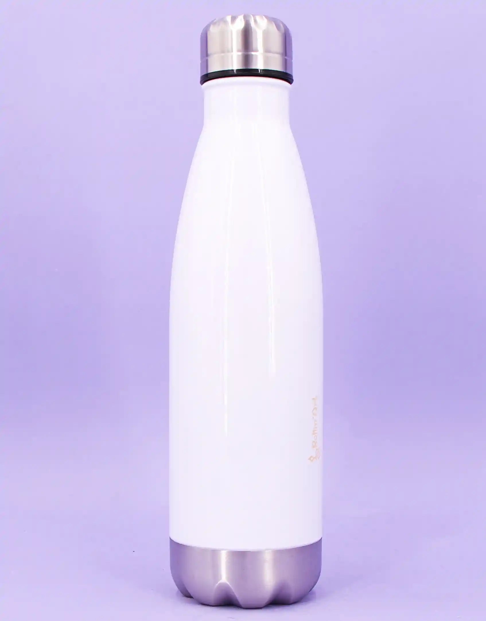 Trinkflasche "Glückselefant"-RollinArt