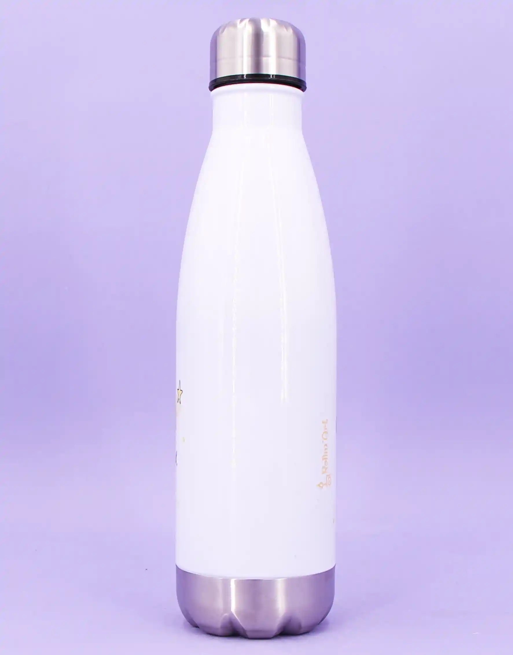 Trinkflasche "Löwe"-RollinArt