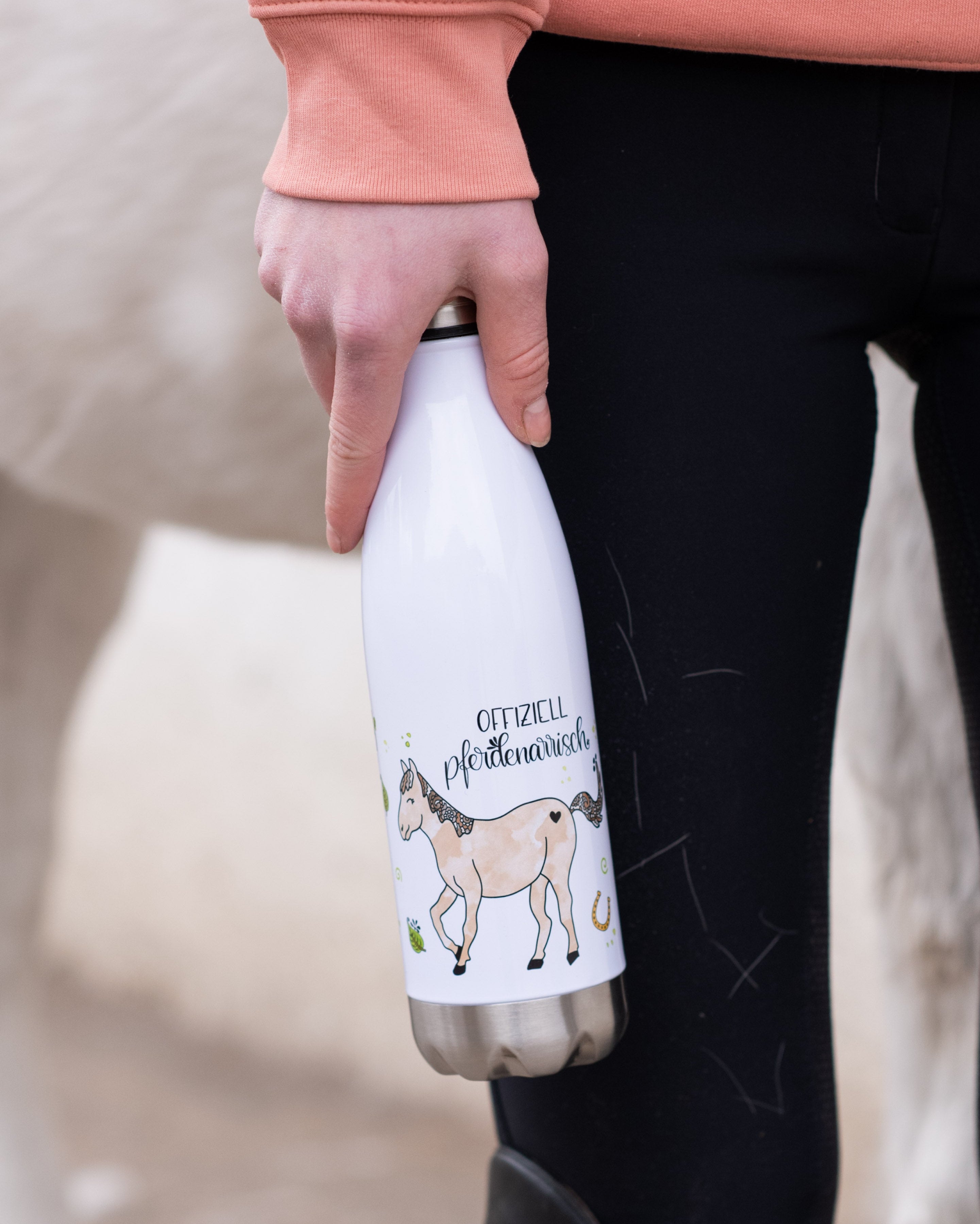 Trinkflasche "Pferdenarrisch"-RollinArt