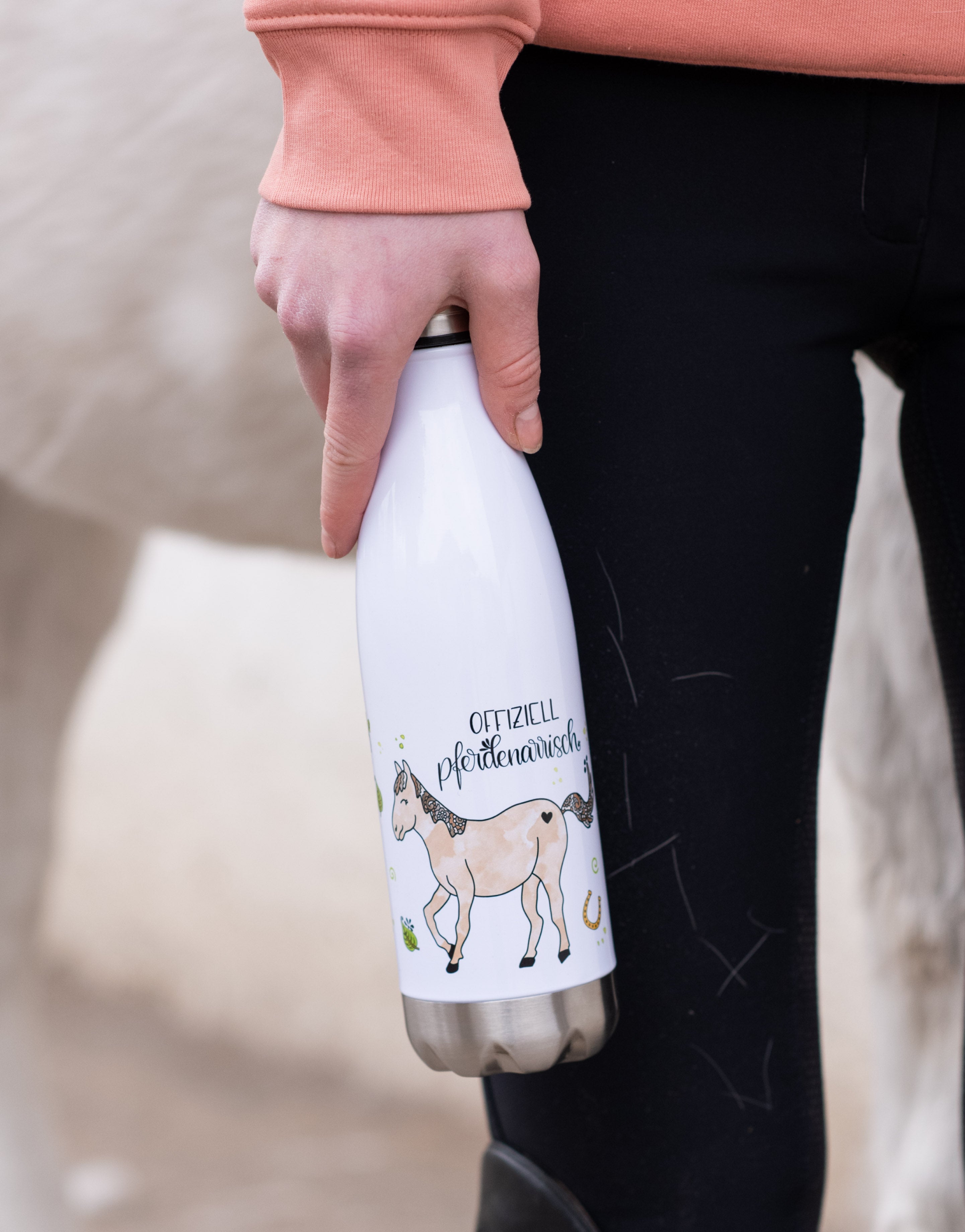 Trinkflasche "Pferdenarrisch"-RollinArt