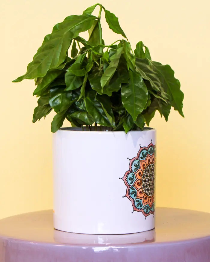 Blumentopf groß "Bume des Lebens"