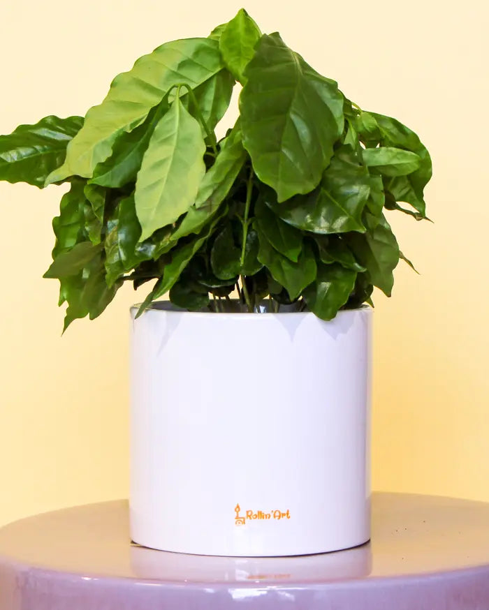 Blumentopf groß "Bume des Lebens"