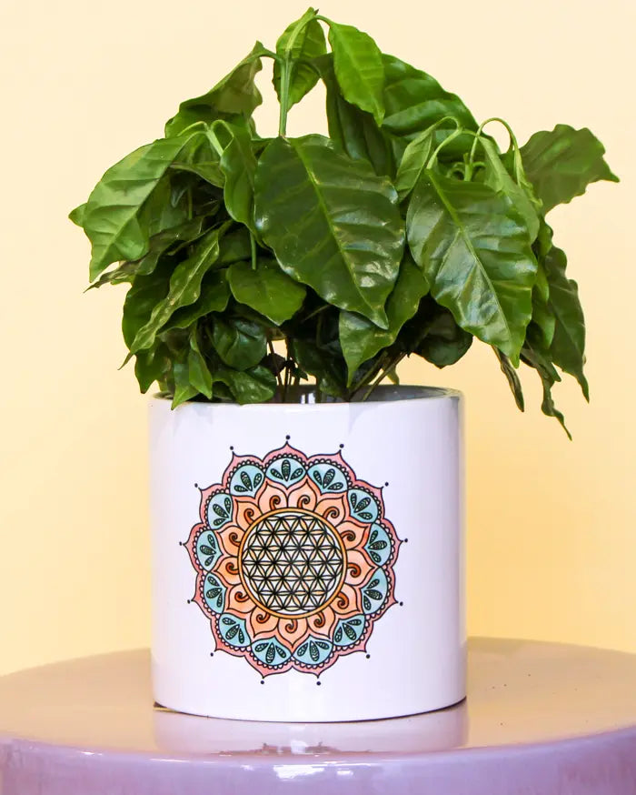 Blumentopf groß "Bume des Lebens"