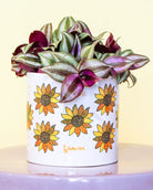 Blumentopf groß "Shine"