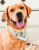 Hundehalstuch "Biene"