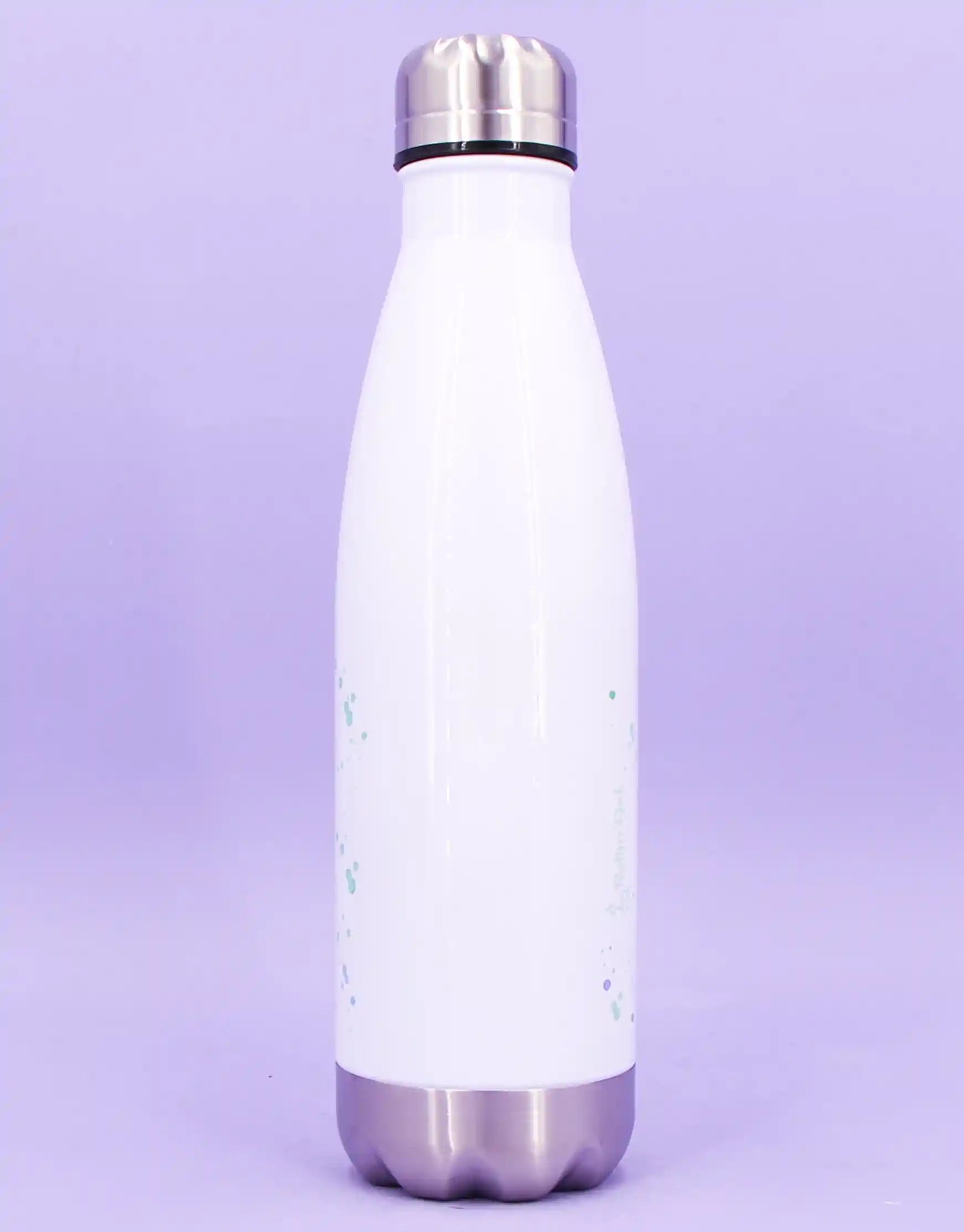 Trinkflasche "Chillkröte"-RollinArt